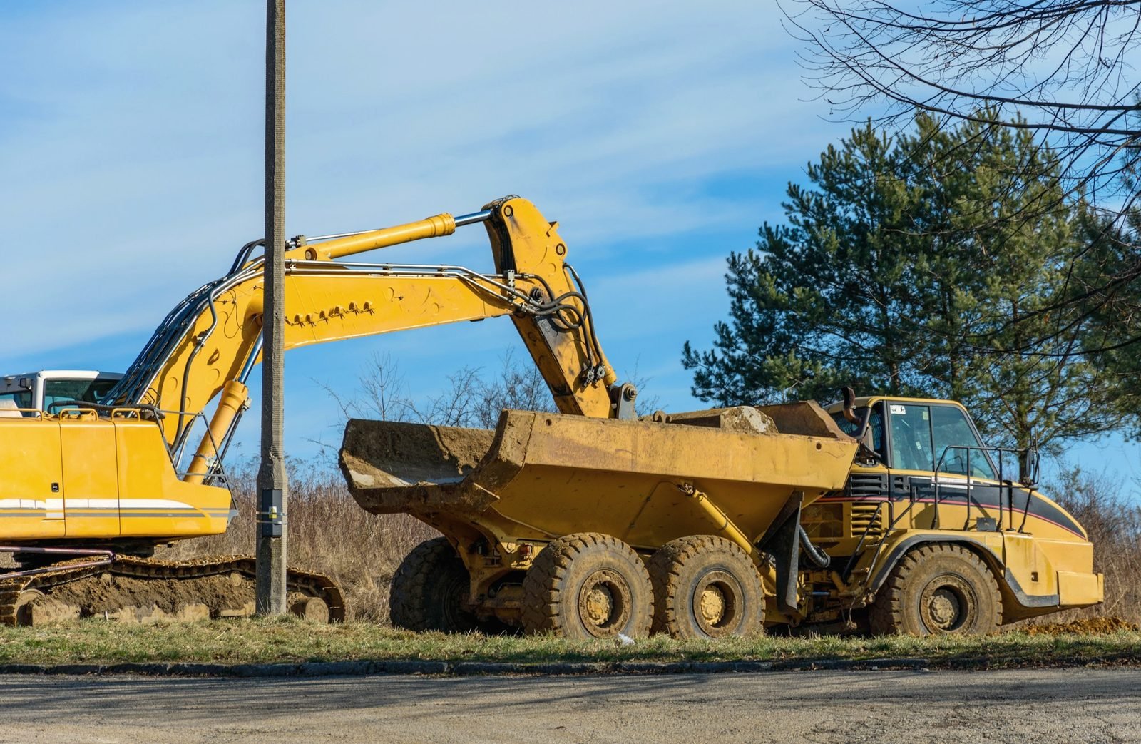 An excavator loading an articulated dump truck beside pines
